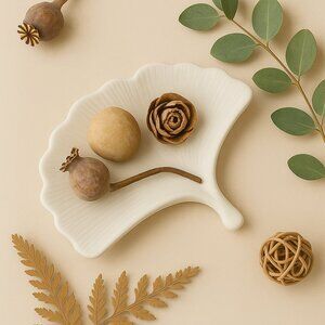 Ginkgo Leaf Cement Dish